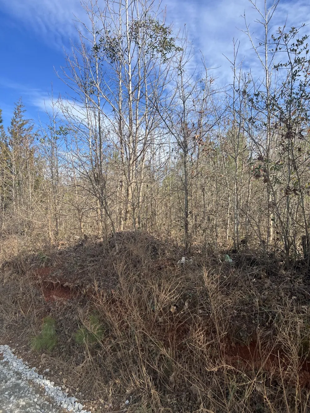 0 Clanton Road Evans, GA 30809