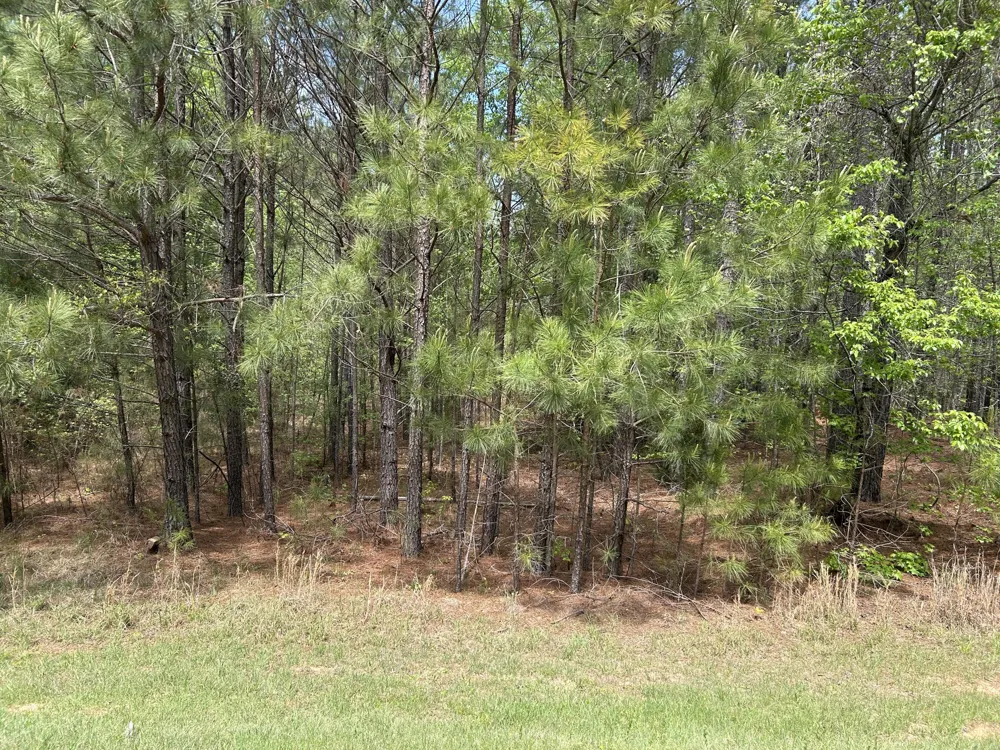 1147 &1153 Watersedge Cove Tignall, GA 30668