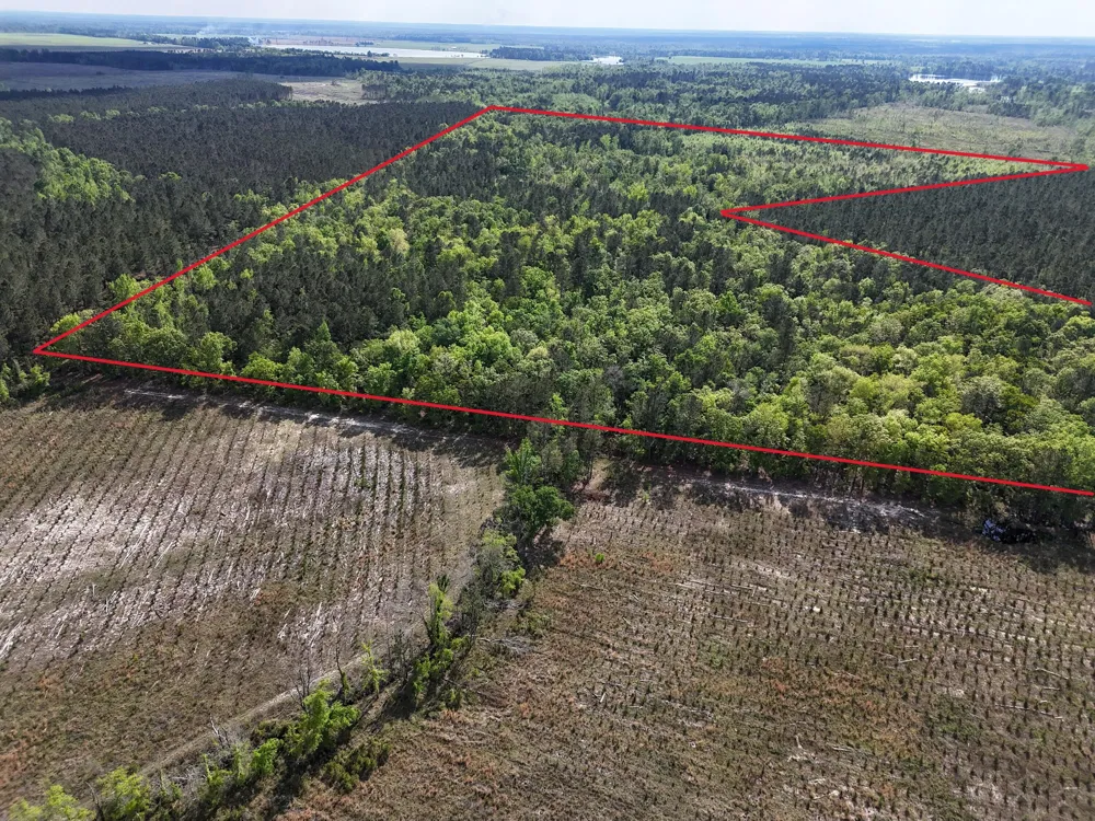 0 305 Highway Midville, GA 30441