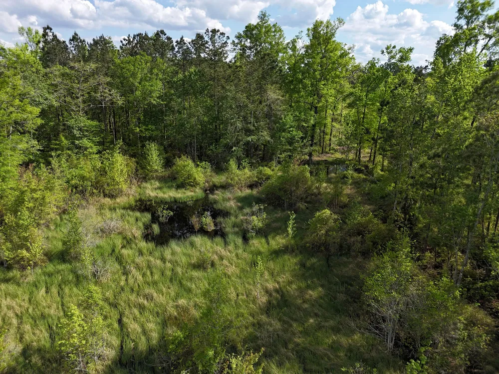 0 305 Highway Midville, GA 30441