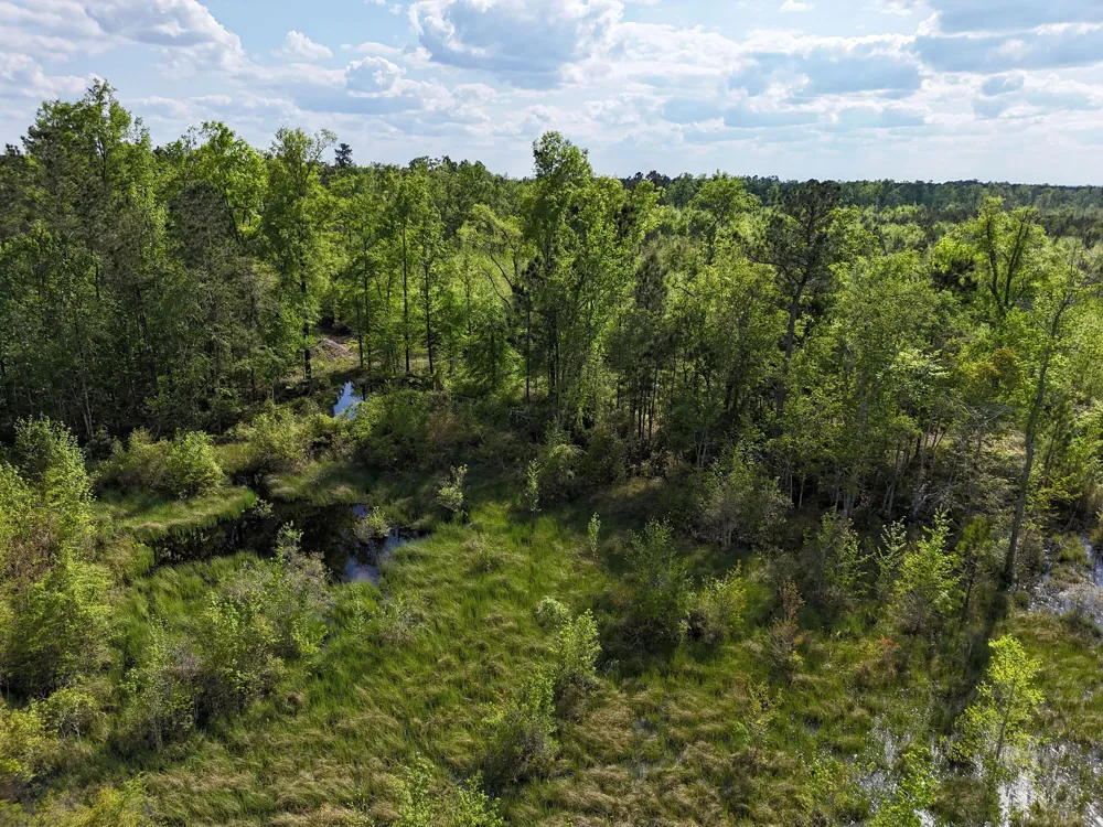 0 305 Highway Midville, GA 30441