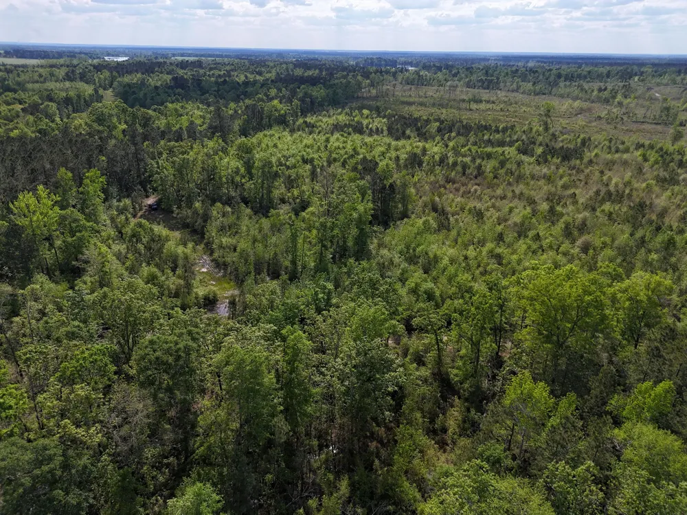 0 305 Highway Midville, GA 30441