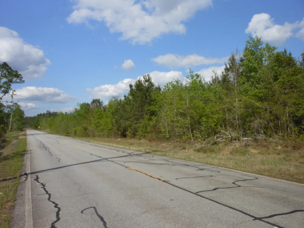 0 305 Highway Midville, GA 30441