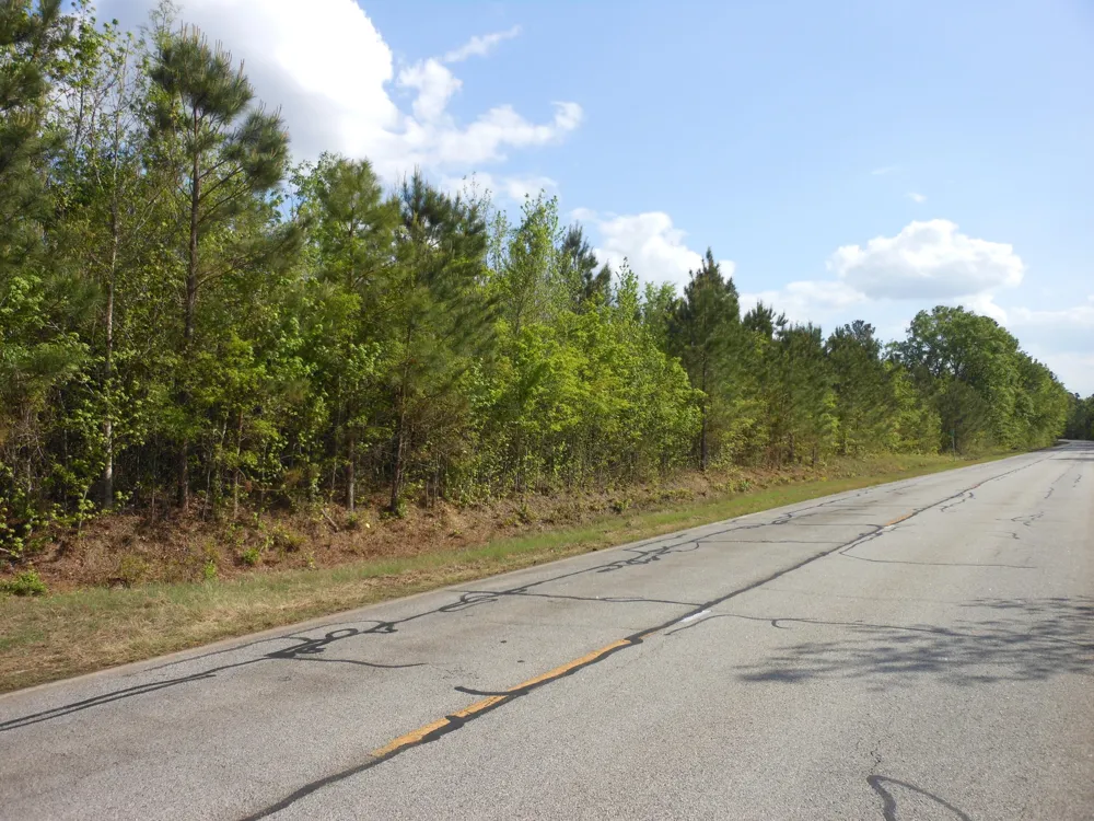 0 305 Highway Midville, GA 30441