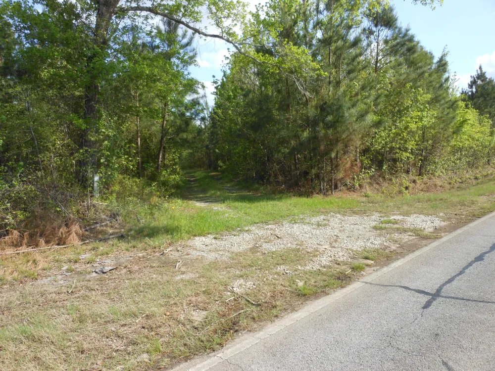 0 305 Highway Midville, GA 30441