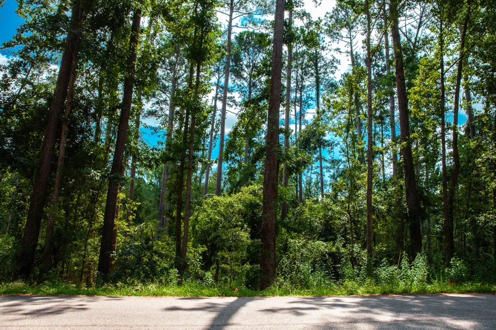 Lot 3 Furey Drive Clarks Hill, SC 29821