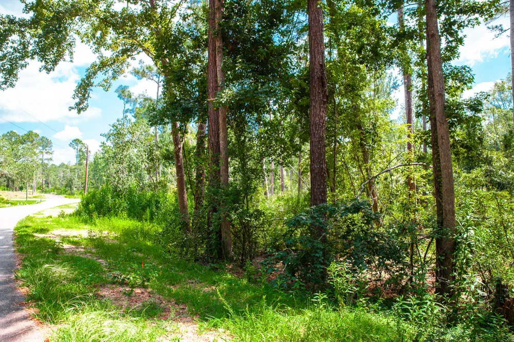 Lot 3 Furey Drive Clarks Hill, SC 29821