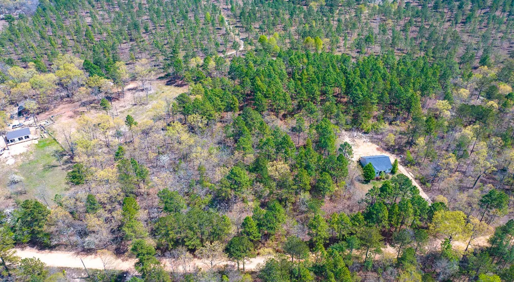 Lot 4 Bluffwood Road Wagener, SC 29164