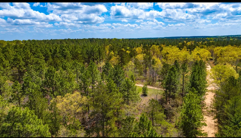 Lot 4 Bluffwood Road Wagener, SC 29164