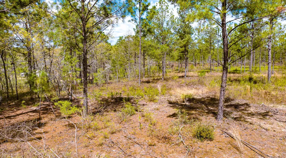 Lot 4 Bluffwood Road Wagener, SC 29164