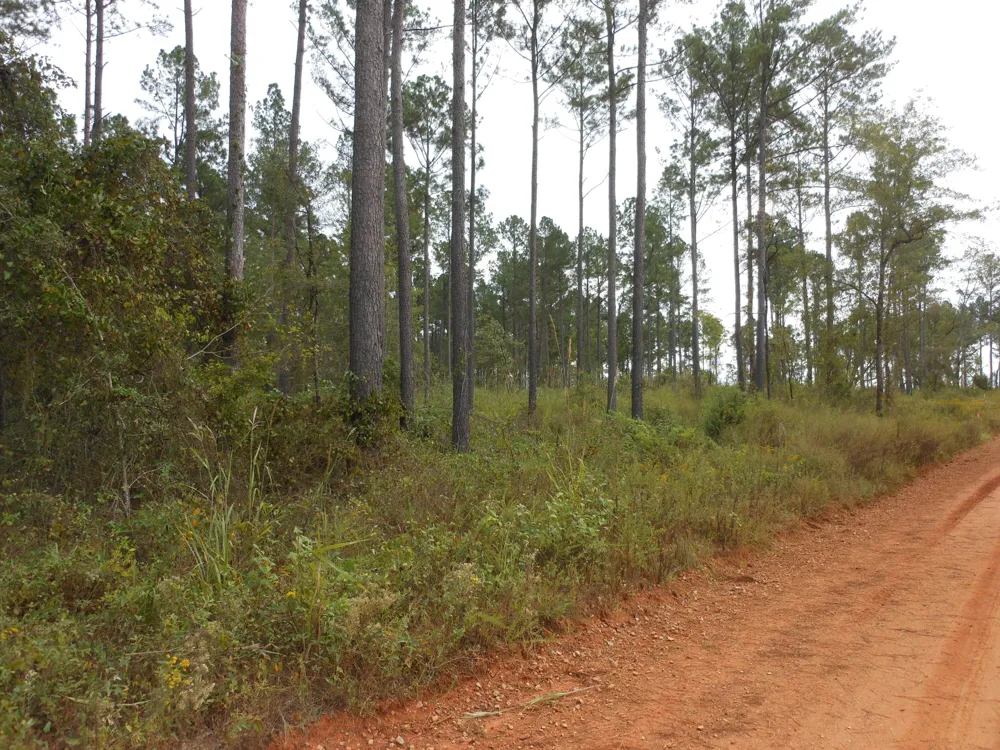 0 Hannah Lane Keysville, GA 30816