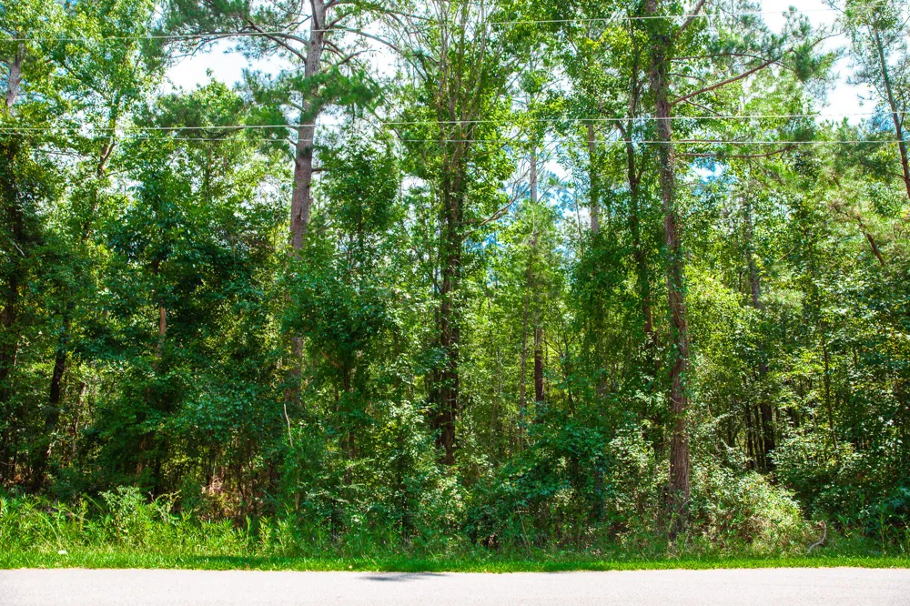 Lot 9 Bent Oak Road Clarks Hill, SC 29821