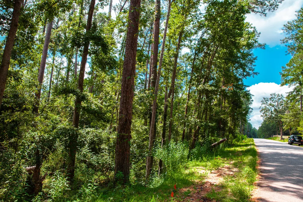 Lot 4 Furey Drive Clarks Hill, SC 29821