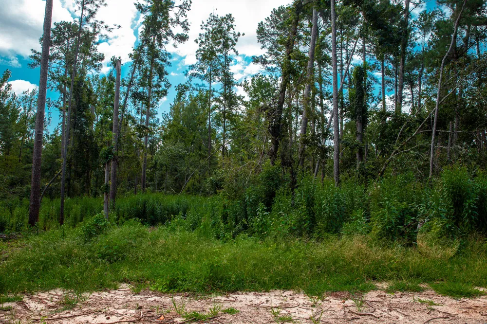 Lot 4 Furey Drive Clarks Hill, SC 29821