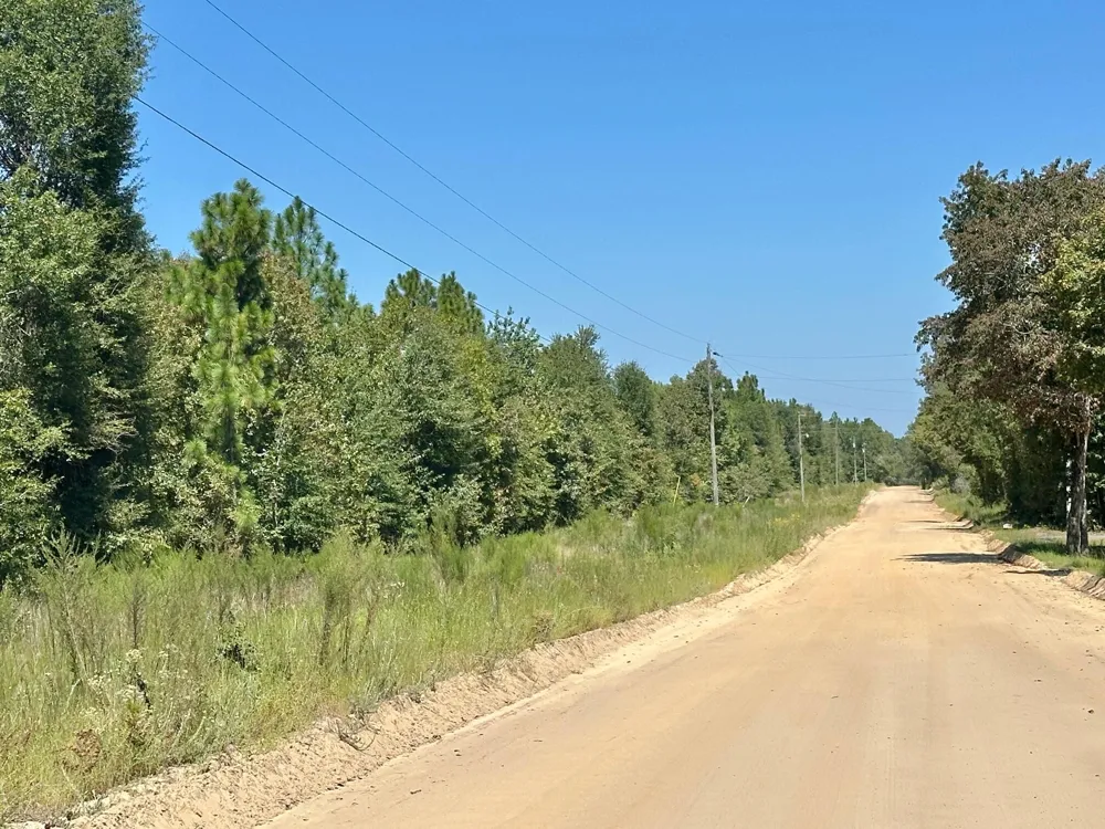 Lot 11 Marie Vann Road Waynesboro, GA 30830