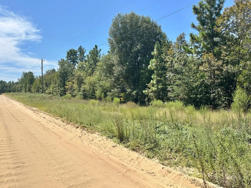 Lot 11 Marie Vann Road Waynesboro, GA 30830