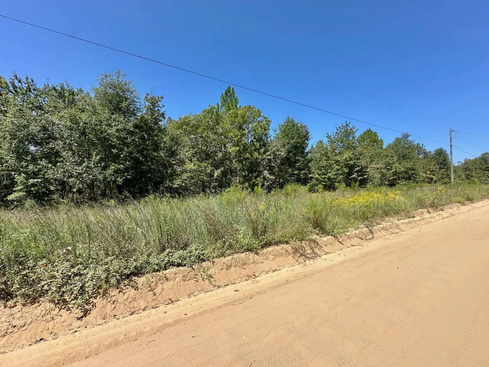 Lot 11 Marie Vann Road Waynesboro, GA 30830