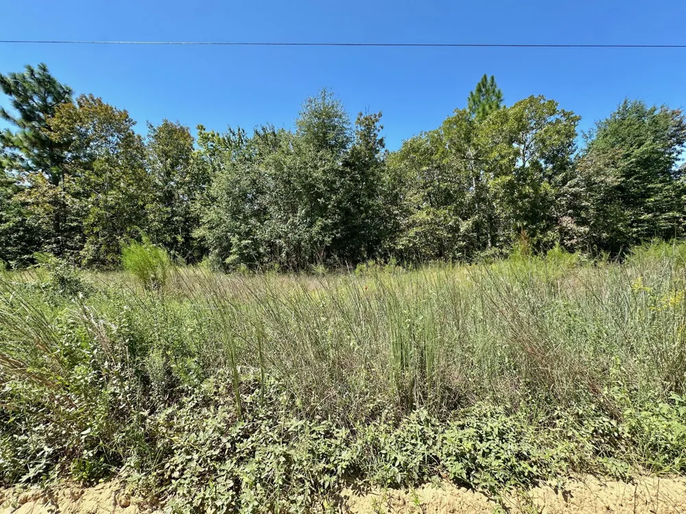 Lot 11 Marie Vann Road Waynesboro, GA 30830