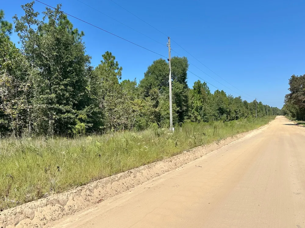 Lot 11 Marie Vann Road Waynesboro, GA 30830