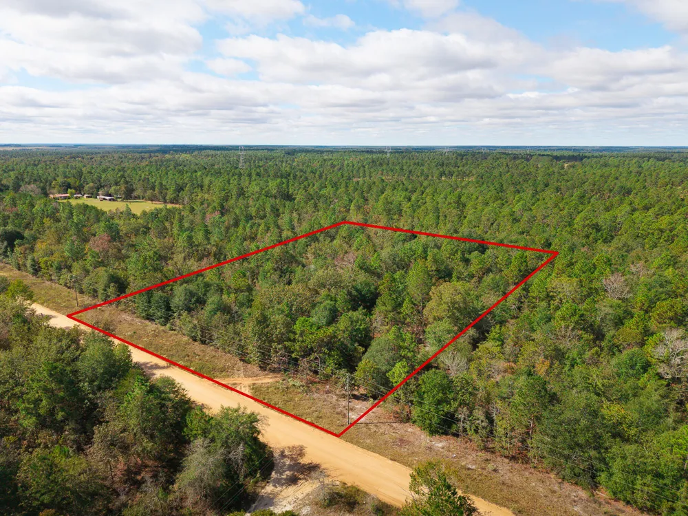 Lot 11 Marie Vann Road Waynesboro, GA 30830
