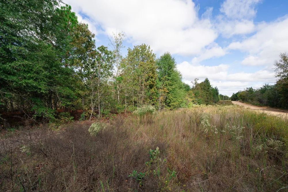 Lot 11 Marie Vann Road Waynesboro, GA 30830