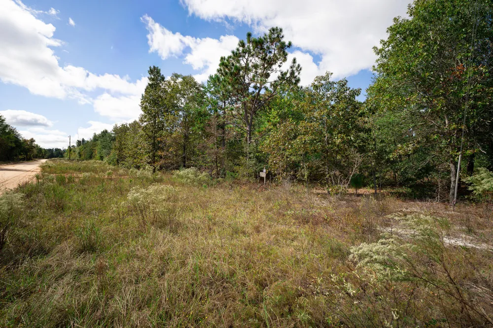 Lot 11 Marie Vann Road Waynesboro, GA 30830