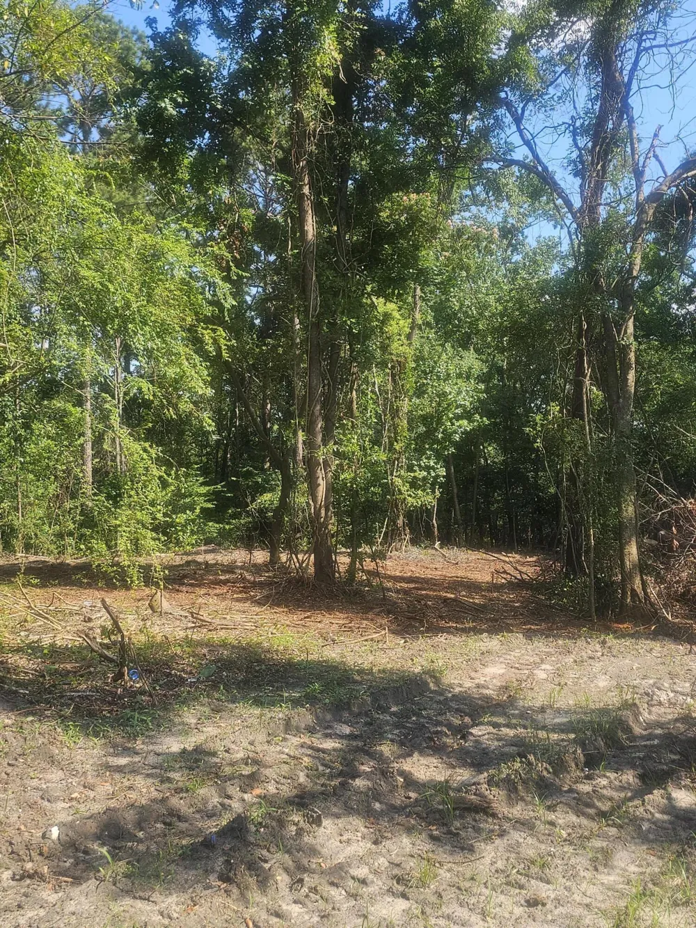 470 Forrest Drive Louisville, GA 30434