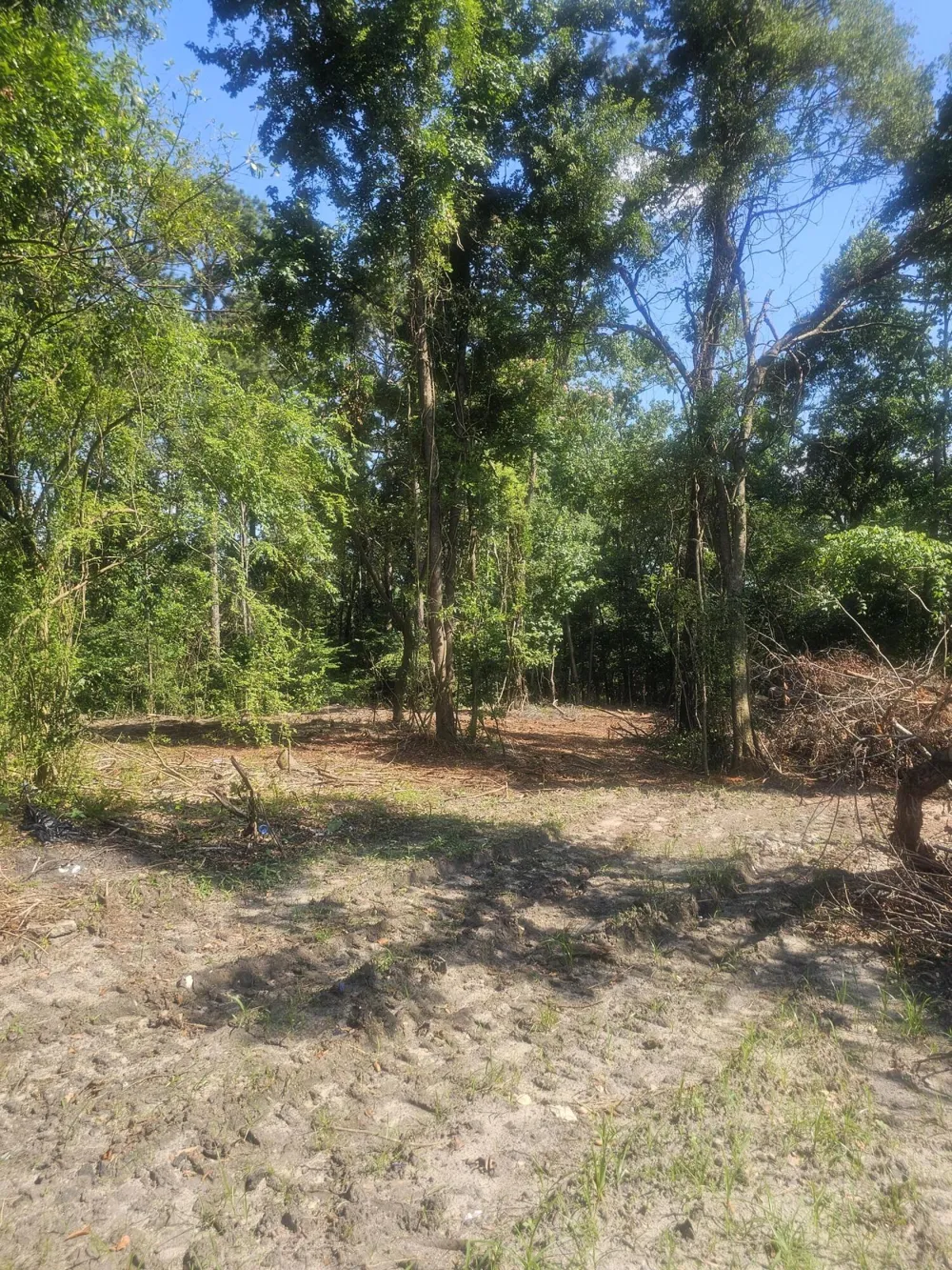 470 Forrest Drive Louisville, GA 30434