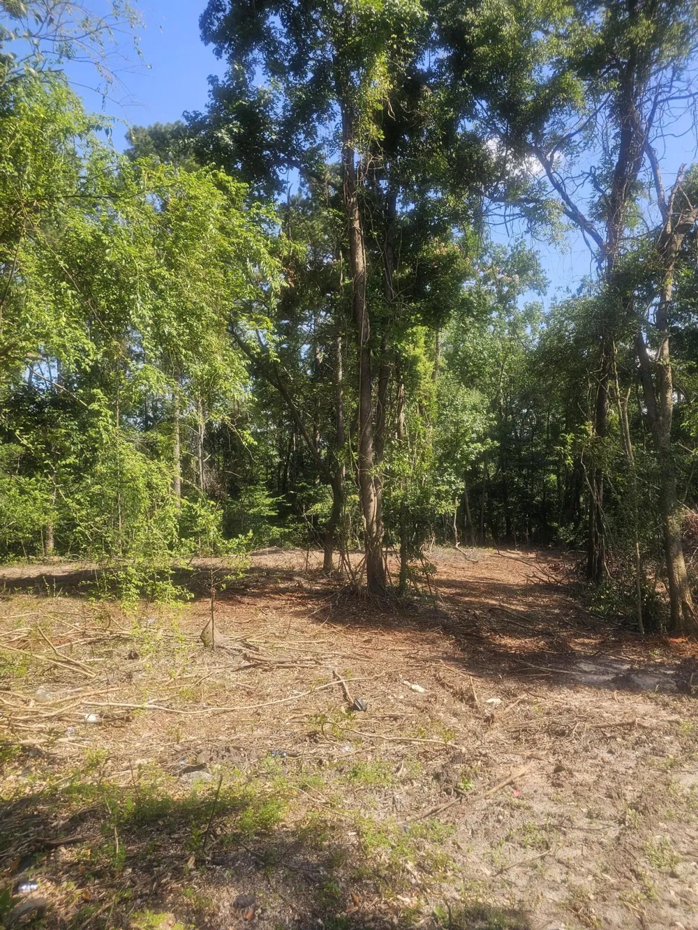 470 Forrest Drive Louisville, GA 30434