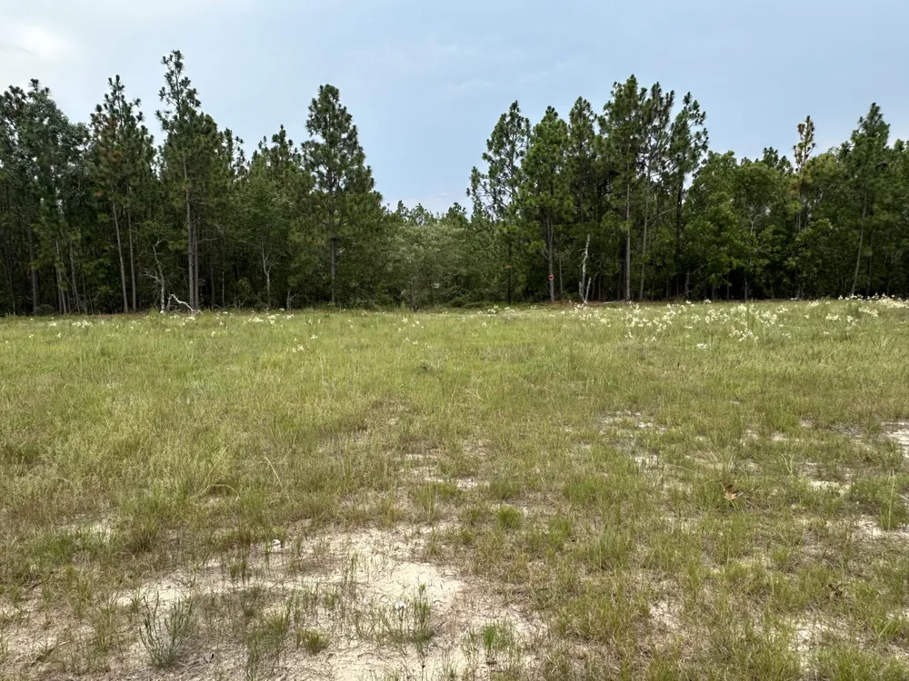 2070 Greenland Road Blythe, GA 30805