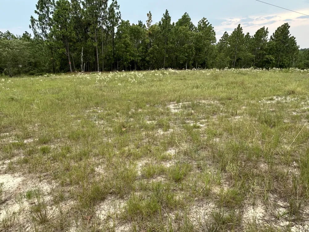 2070 Greenland Road Blythe, GA 30805