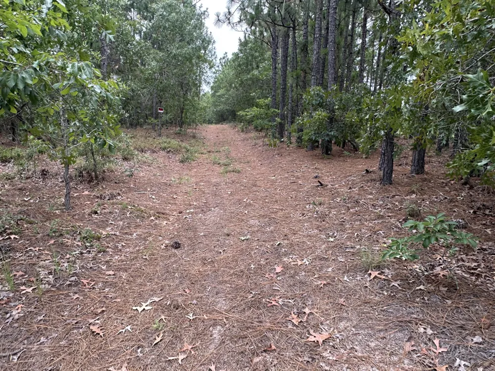 2070 Greenland Road Blythe, GA 30805
