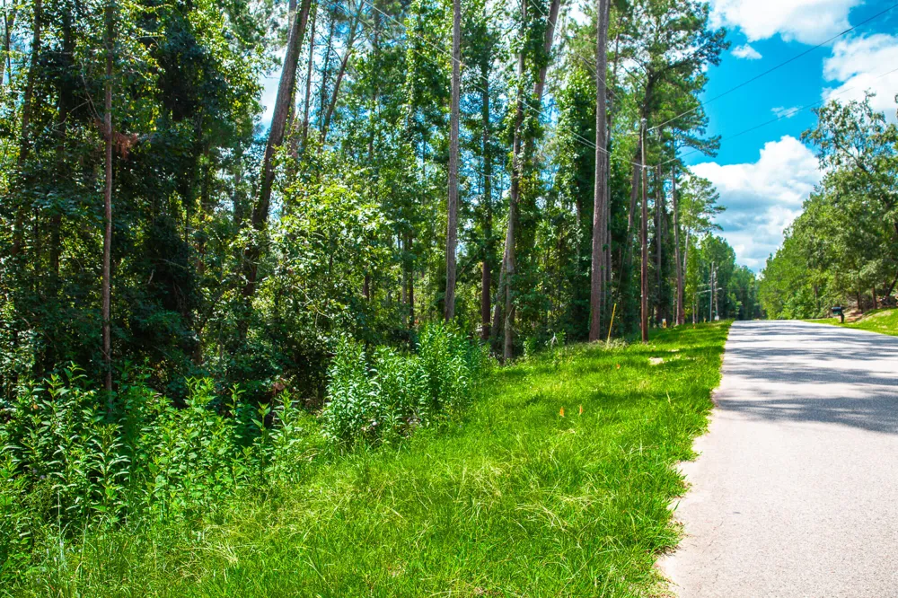Lot 6 Furey Drive Clarks Hill, SC 29821