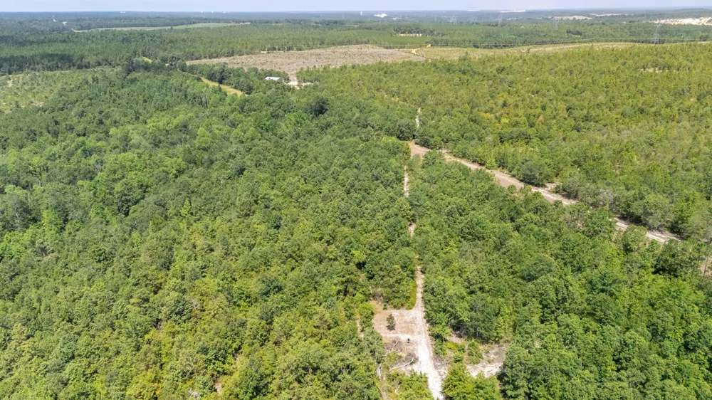 2576 Jessie James Pond Road Wrens, GA 30833