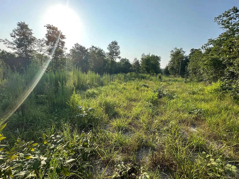 2576 Jessie James Pond Road Wrens, GA 30833