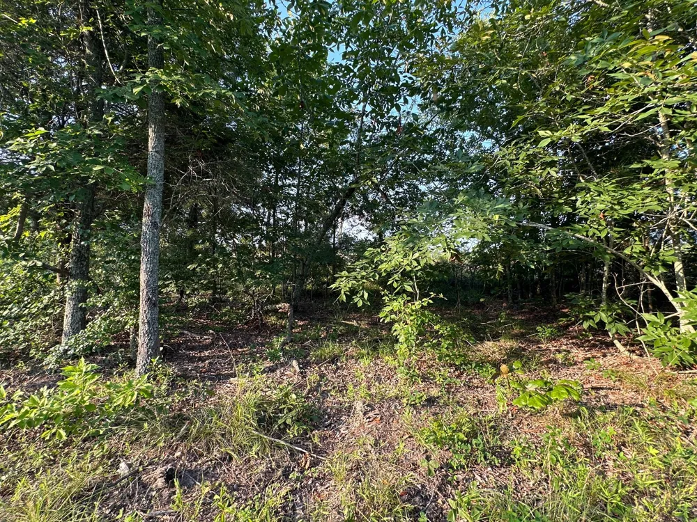 2576 Jessie James Pond Road Wrens, GA 30833