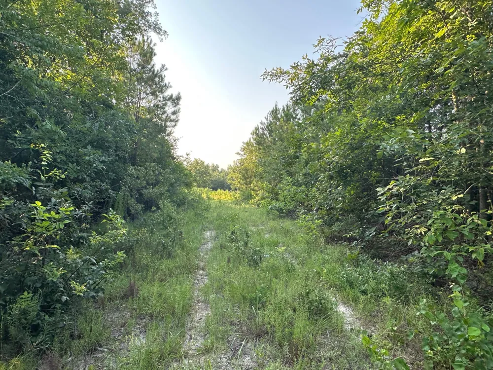 2576 Jessie James Pond Road Wrens, GA 30833