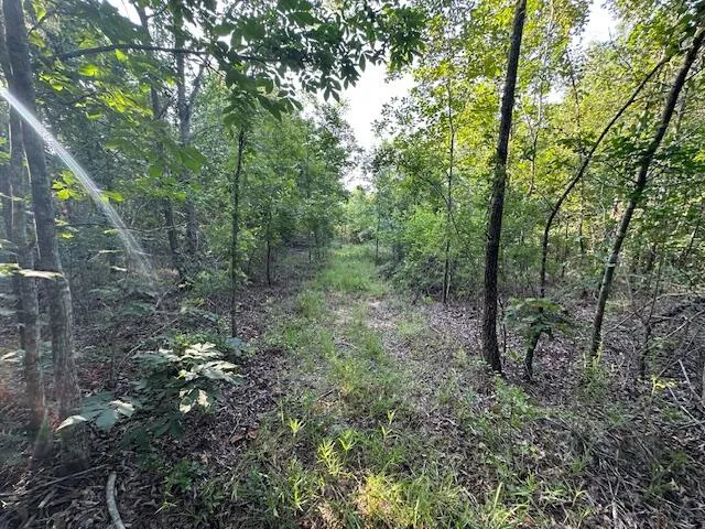 2576 Jessie James Pond Road Wrens, GA 30833