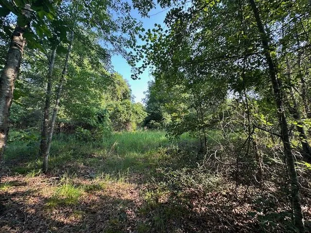2576 Jessie James Pond Road Wrens, GA 30833