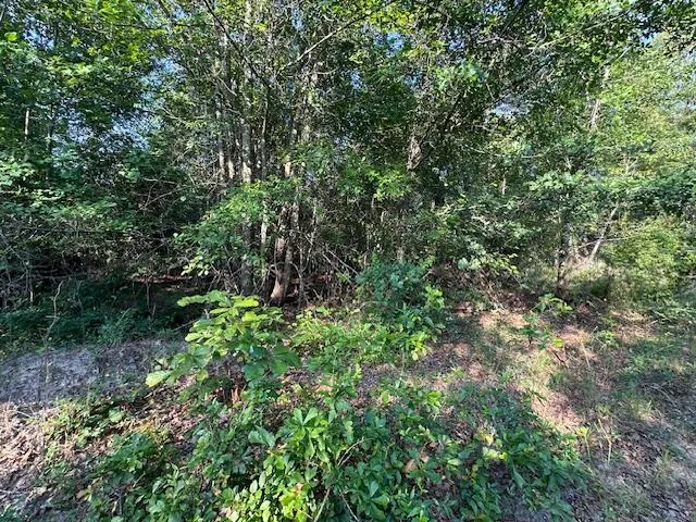 2576 Jessie James Pond Road Wrens, GA 30833