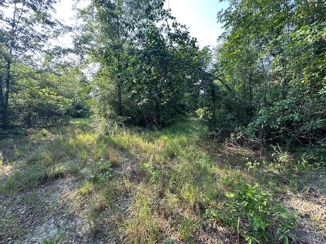 2576 Jessie James Pond Road Wrens, GA 30833