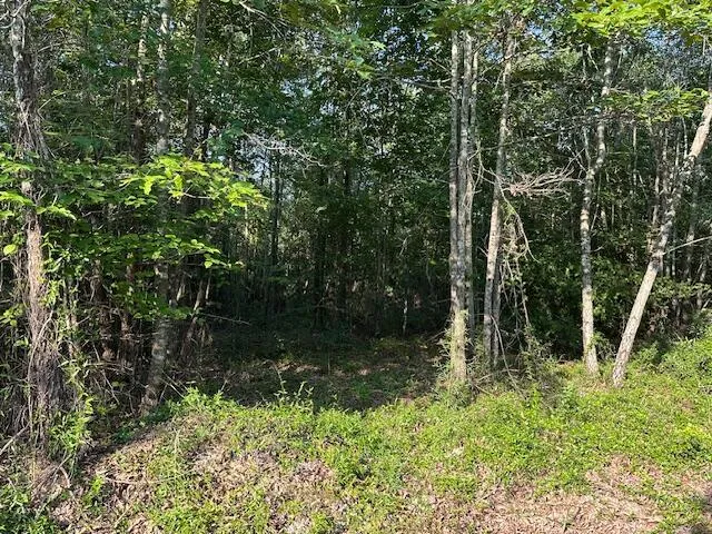 2576 Jessie James Pond Road Wrens, GA 30833