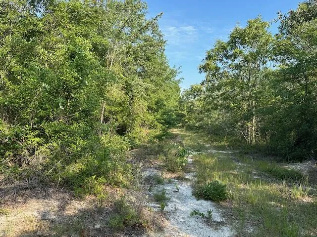 2576 Jessie James Pond Road Wrens, GA 30833
