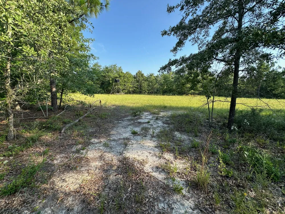 2576 Jessie James Pond Road Wrens, GA 30833