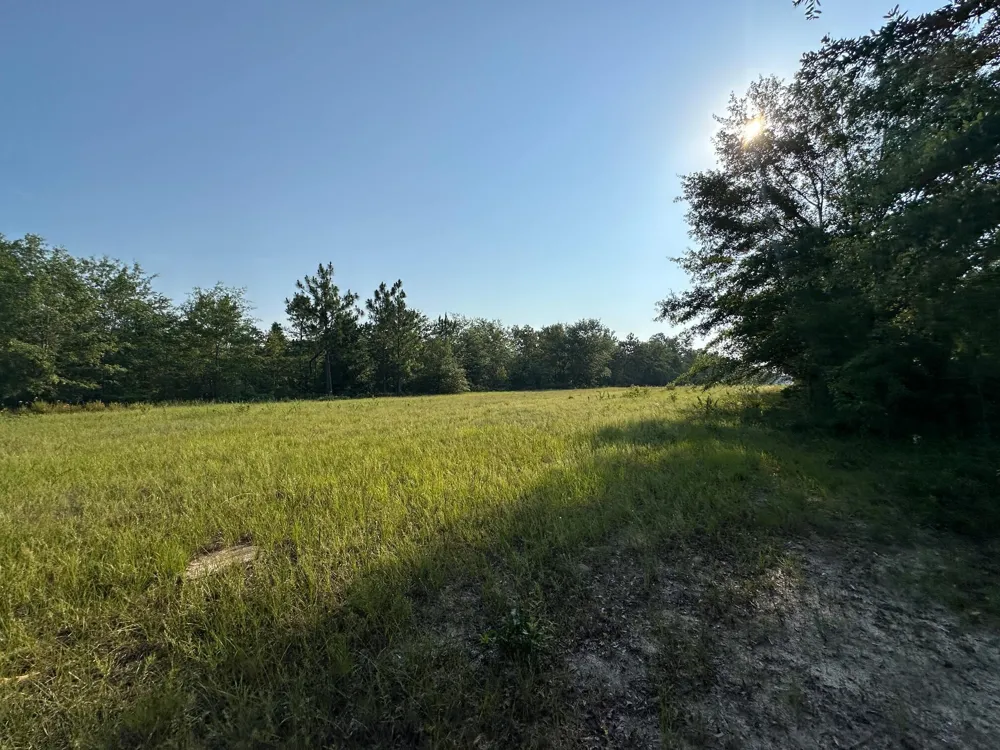 2576 Jessie James Pond Road Wrens, GA 30833