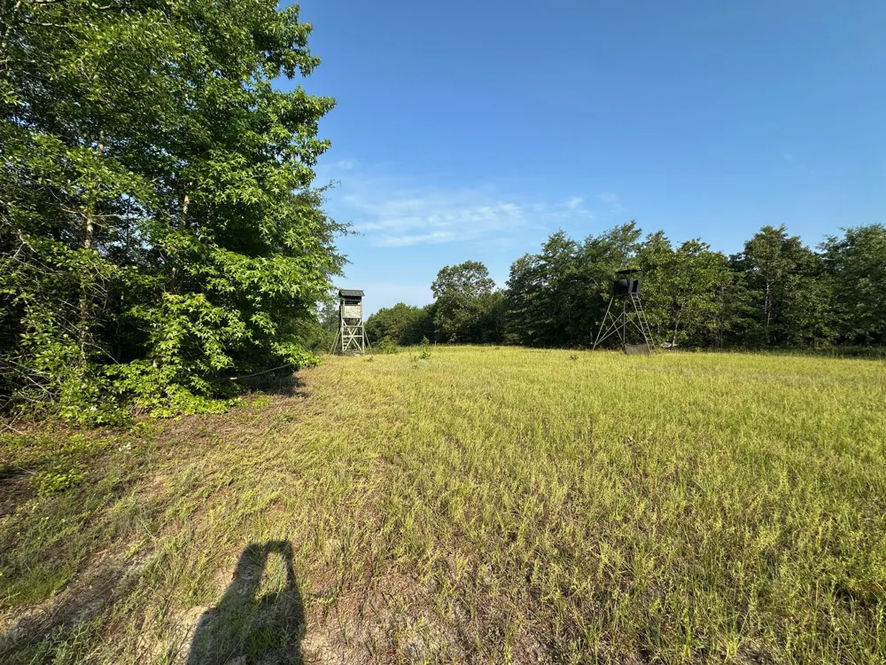2576 Jessie James Pond Road Wrens, GA 30833