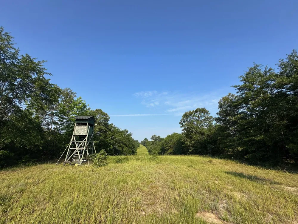 2576 Jessie James Pond Road Wrens, GA 30833