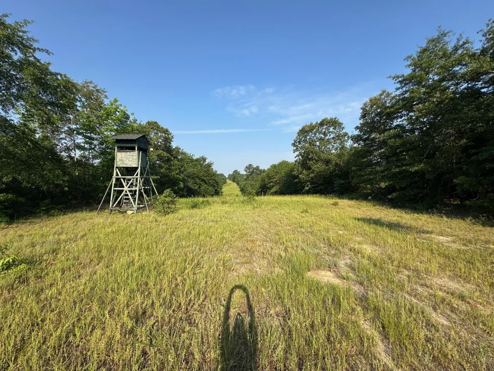 2576 Jessie James Pond Road Wrens, GA 30833