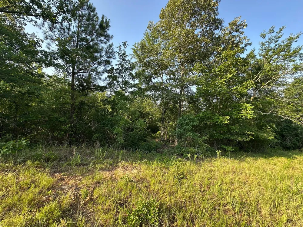 2576 Jessie James Pond Road Wrens, GA 30833