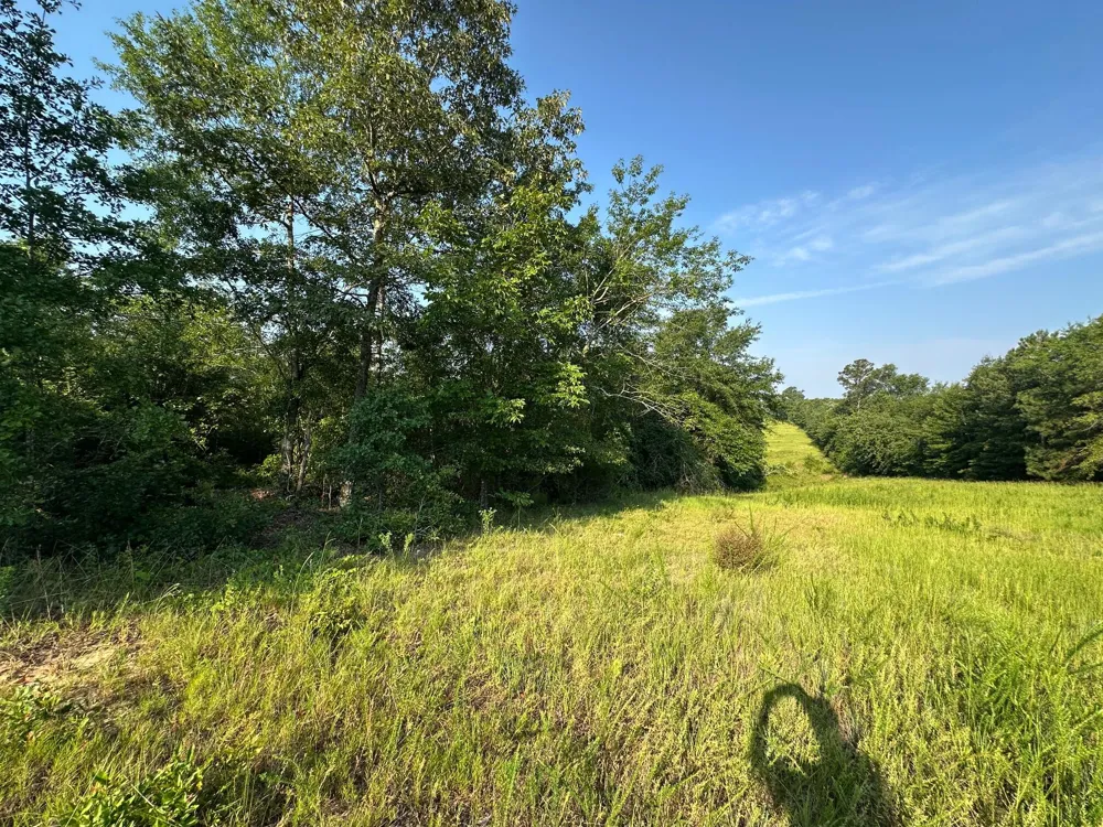 2576 Jessie James Pond Road Wrens, GA 30833